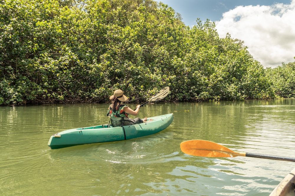 journey kayak